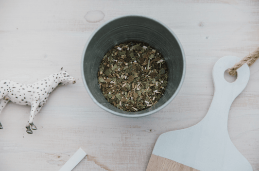 Yrtit hevosen ruokinnassa - Chia de Gracia FI