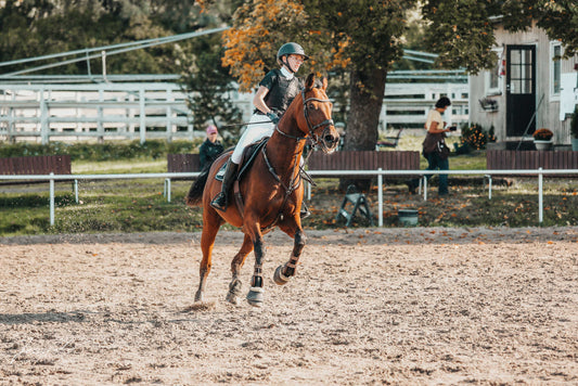 Zara-tamma sai apua Chia de Gracian My Happy Mare-tuotteesta