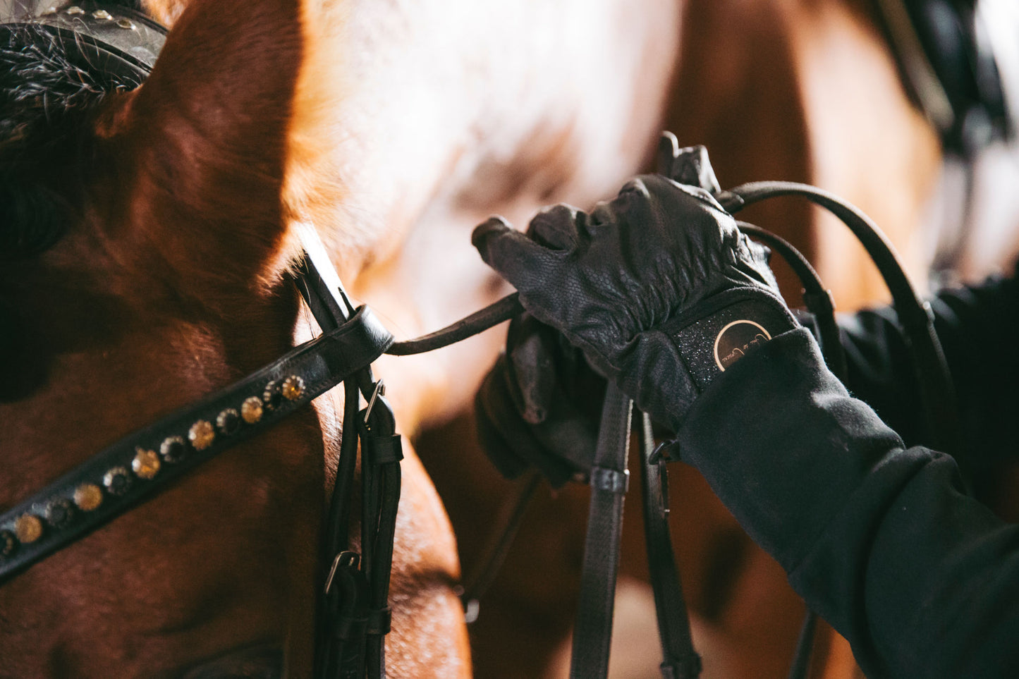 Chia de Gracia talviratsastushanskat thinsulate