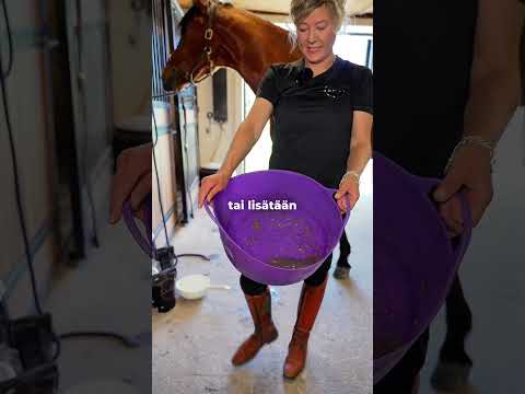 Chia-siemenet hevoselle