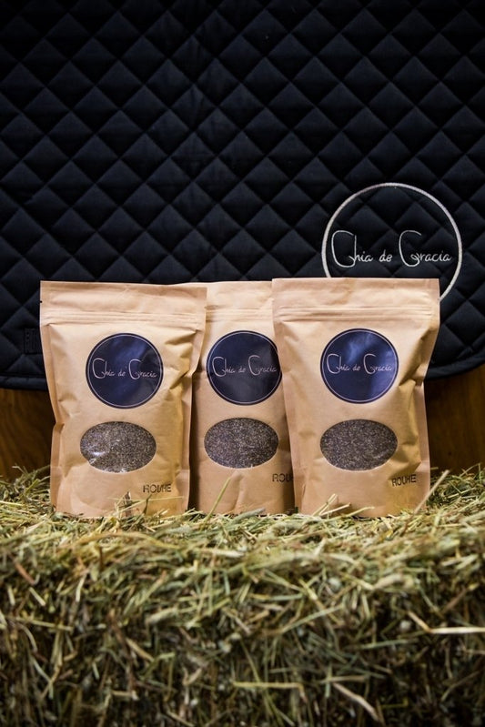 Chiarouhe hevoselle ja koiralle - Chia de Gracia FI (2122794270769)