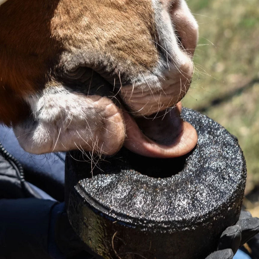 CdG Lick Carbon clay