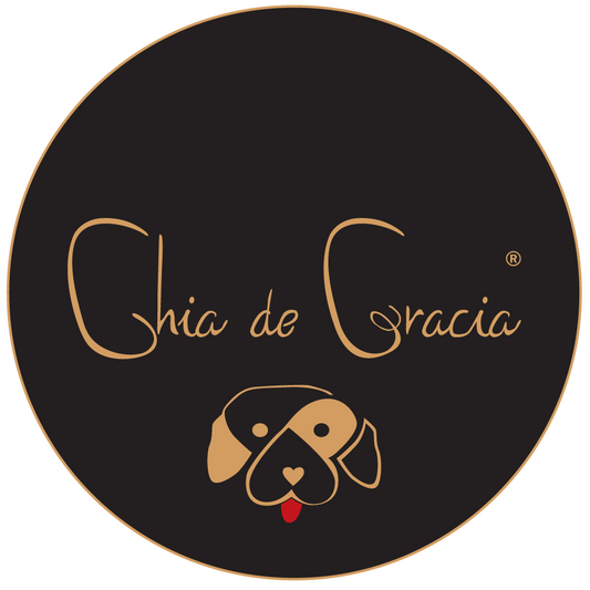 MSM-jauhe  650 g koirille , CdG Dogs (6194437718211)