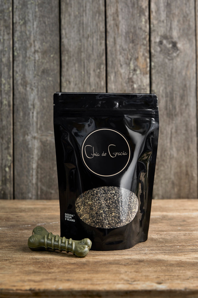 CdG Munkinpippuri koirille (6202088947907)