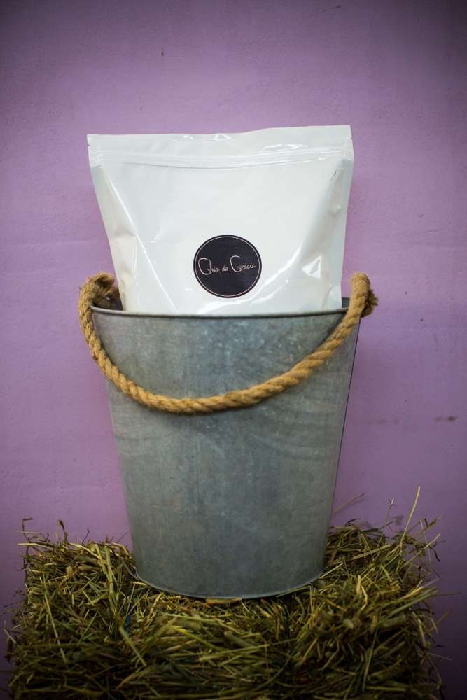 Chiarouhe hevoselle- Chia de Gracia FI (2122794270769)