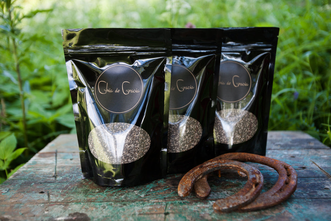 Chia on hevosen monipuolinen ja hyödyllinen päivittäinen superfood - Chia de Gracia FI