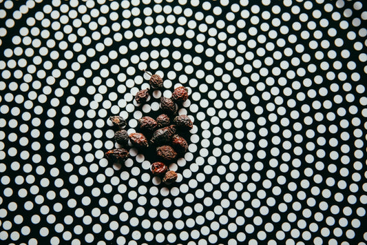 Ruusunmarja hevosille chia de gracia