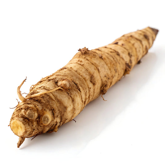 inuliini hevosen ruuansulatus prebiootti