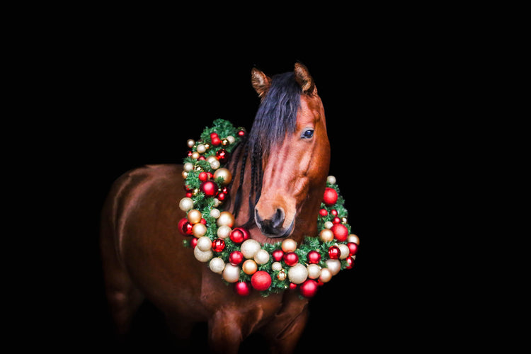 Chia de Gracian joululahjakauppa