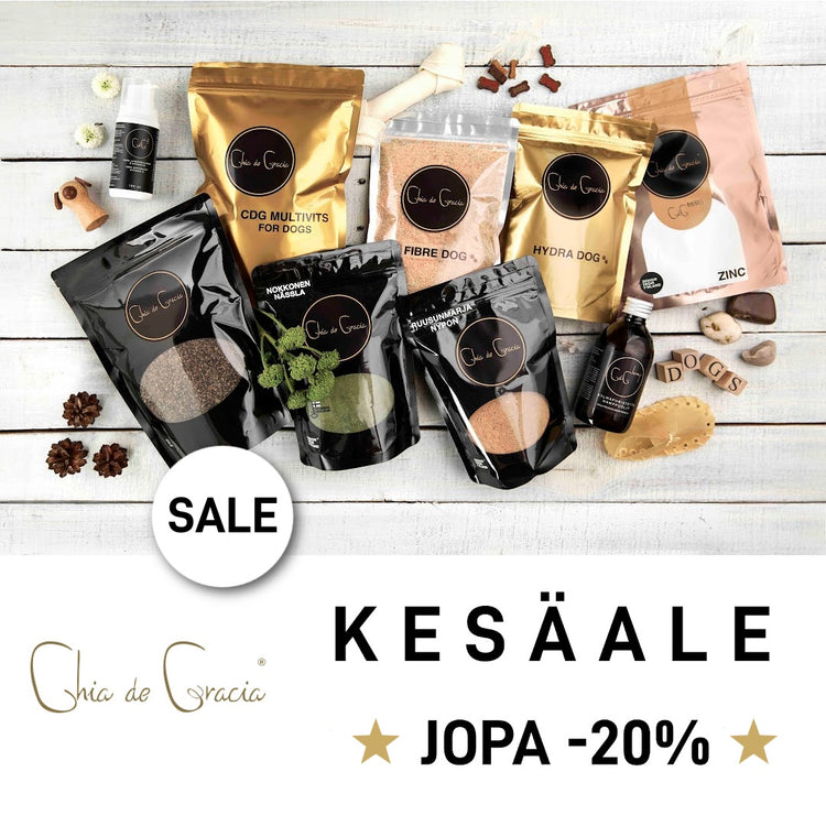 CDG KESÄALE! Kaikki tuotteet alennettuun hintaan, nämä tuotteet koirille - 20 %