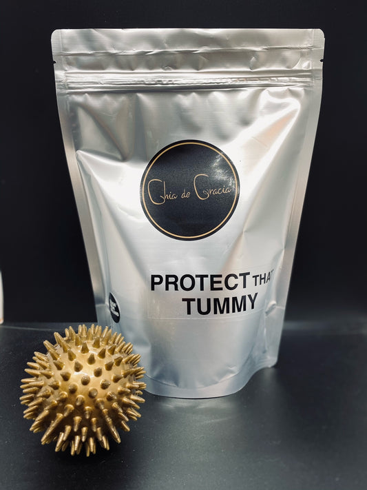 Protect That Tummy 500 g koirille (6687421857987)